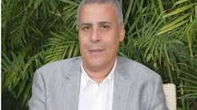 رئيس شعبة المستوردين يقترح إنشاء صناديق استثمار حكومية لدعم القطاع الخاص