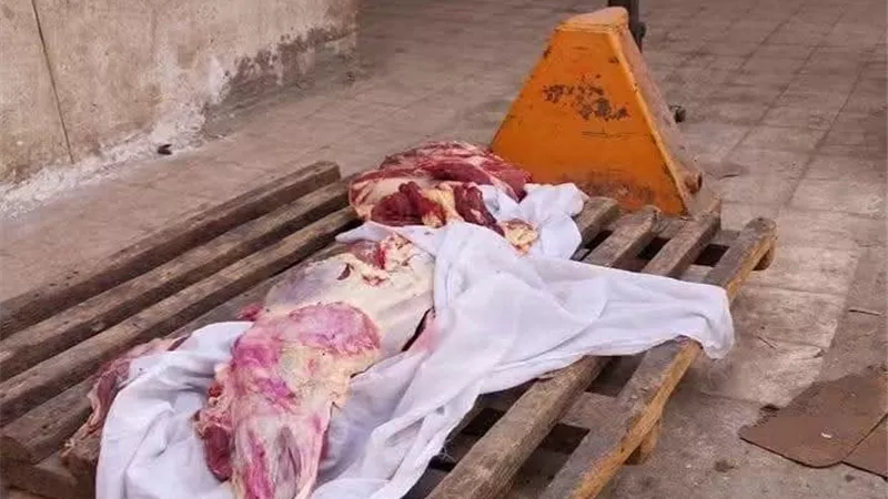 ضبط 15كجم مجمدات منتهية الصلاحية خلال حملة بيطرية مكبرة في أخميم بسوهاج