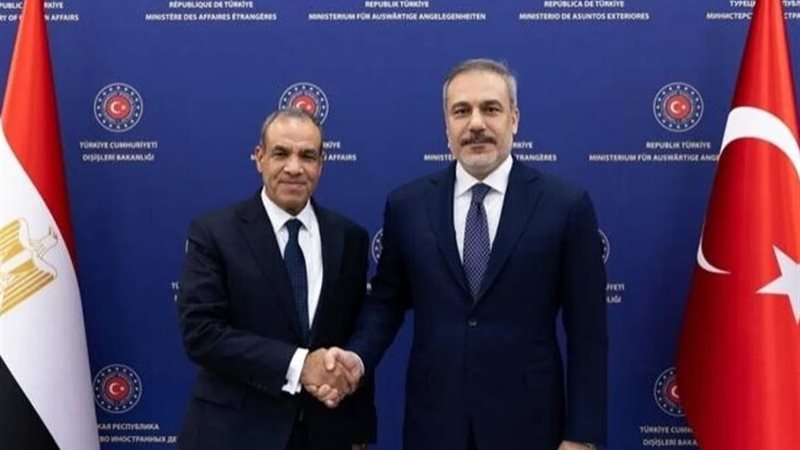 وزير الخارجية التركي ونظيره المصري