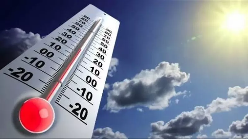 الأرصاد تحذر من الشبورة المائية والأمطار غدًا الأحد.. والعظمى بالقاهرة 29 درجة