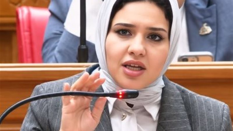 النائبة الدكتورة