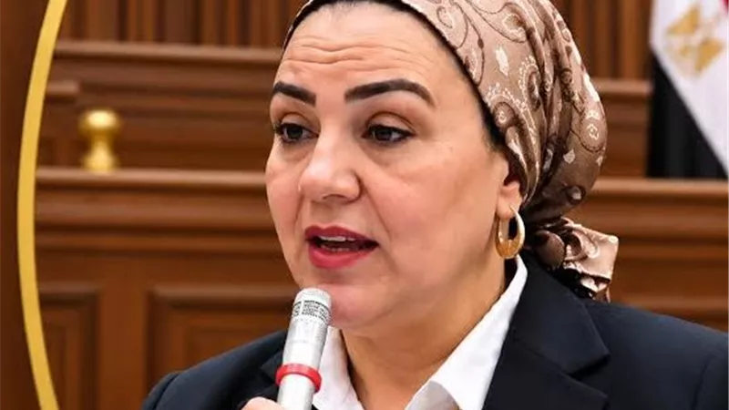 برلمانية: المناهج الحالية تحرم الأطفال من الاستمتاع بطفولتهم ولا تساعدهم على الإبداع