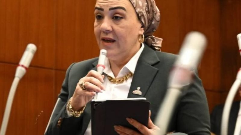 الدكتورة داليا السيد الإتربي، عضو لجنة التعليم والبحث العلمي