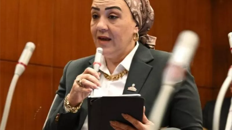برلمانية: مناهج رابعة ابتدائي تتضمن شرحاً تشريحياً للحشرات.. والأطفال يعانون من كثافة الدراسة