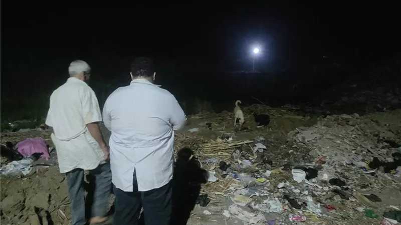 تحرك عاجل في سوهاج إثر إصابة 12 مواطن بعقر كلاب ضالة بمركزي طما وطهطا