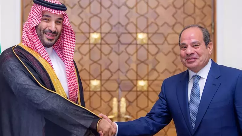 الرئيس المصري وولي
