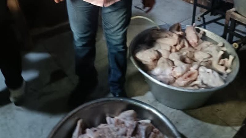مفتش الطب البيطري