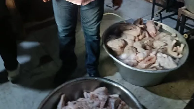 ضبط 13 طنًا من اللحوم والمنتجات الحيوانية الفاسدة في الجيزة خلال أسبوعين