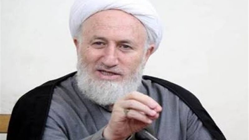 المرجع الديني العراقي