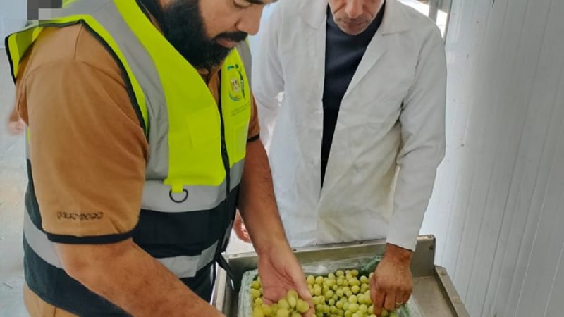 الفاعليات 