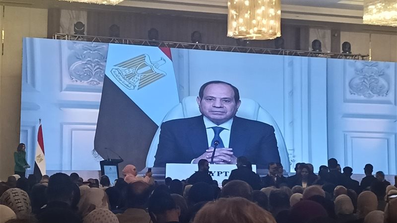 الرئيس عبد الفتاح السيسي رئيس الجمهورية 
