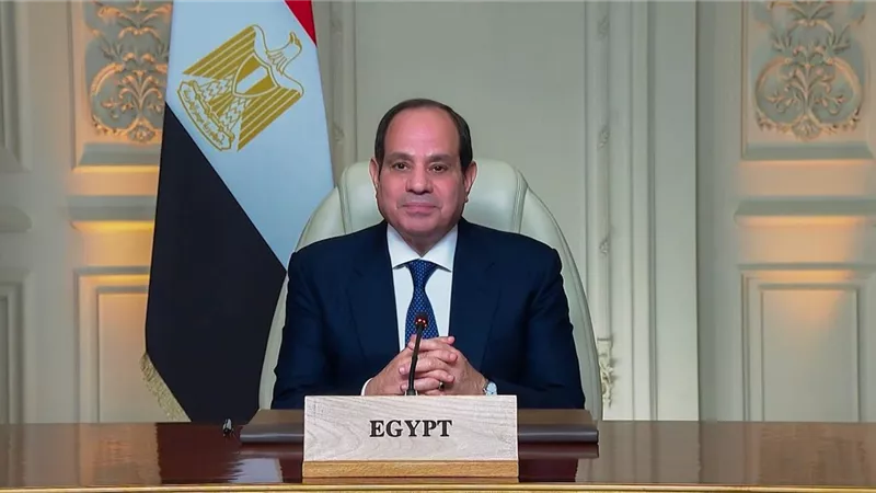 الرئيس عبد الفتاح السيسي