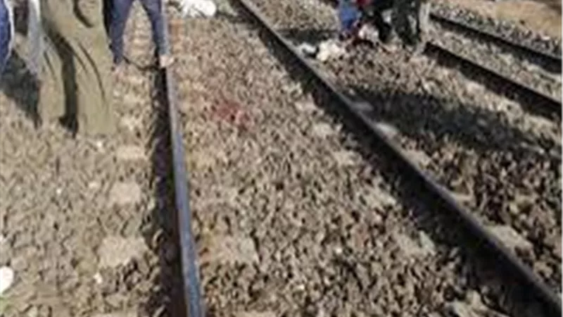صزرة أرشيفية