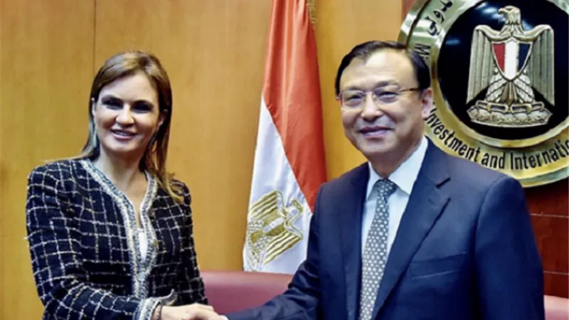 ”الاستثمار”: مناطق استثمارية مخصصة لأسواق التصدير فقط