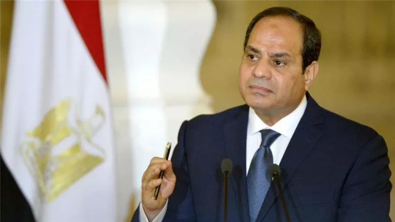 السيسي: الجميع يعاني من الخطاب الديني المتشدد وليست الدول العربية فقط
