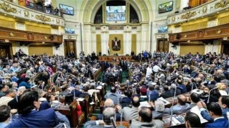 المنظمات الأجنبية تصطاد فى «الماء العكر» باسم حقوق الإنسان.. والبرلمان: تريد هدم الدولة