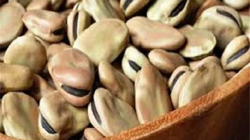 التموين: استيراد 100 ألف طن من محصول الفول باستراليا