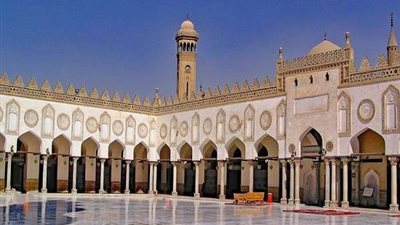 أحمد زارع يكشف دور لجنة الشئون الأفريقية التى شكلها الأزهر