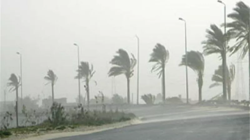 الأرصاد: طقس اليوم مائل للبرودة والصغرى بالقاهرة 11