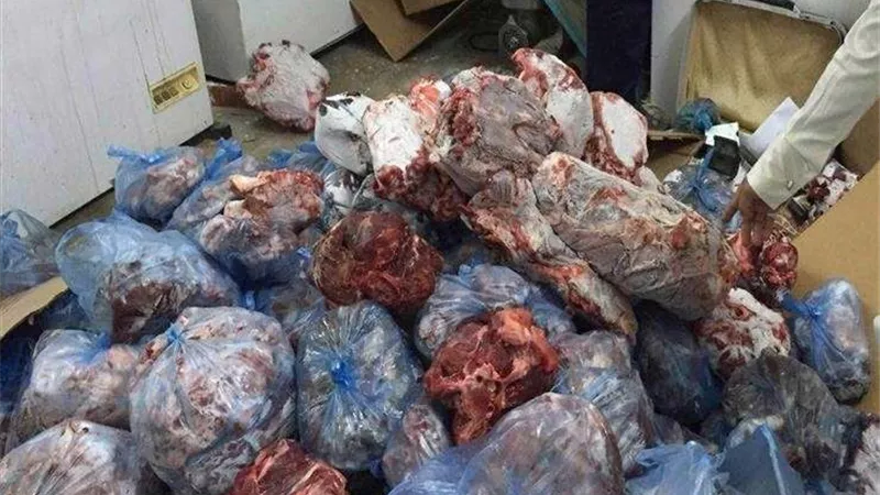 الزراعة: ضبط 15 طن و297 كيلو لحوم وأسماك فاسدة في 19 محافظة