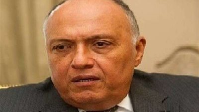 الخارجية تهيب بالمصريين في إيطاليا مراعاة قوانين تربية الأطفال