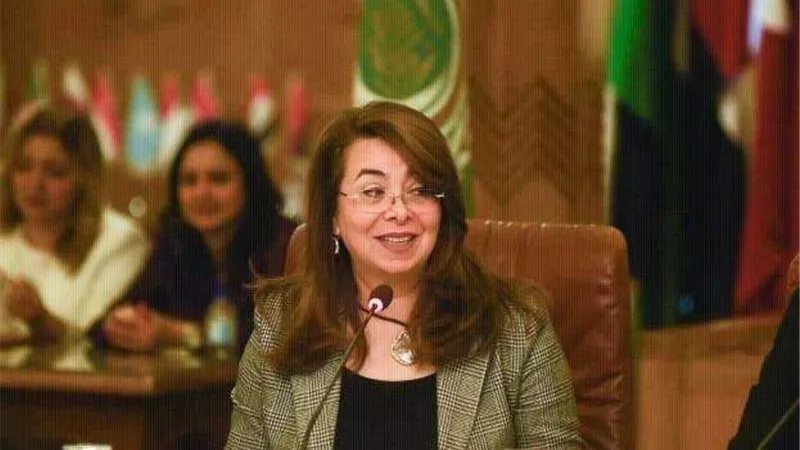 والي: الحكومة تعمل على إصدار قانون للمشروعات الصغيرة
