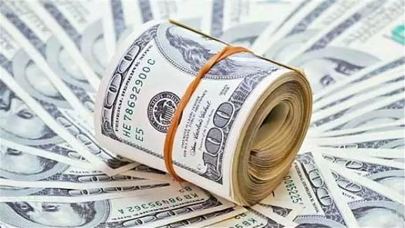المالية: سعر الدولار في الموازنة الجديدة 17.5 جنيهًا