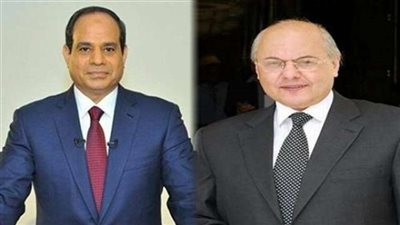 «السيسي» يتقدم بـ1087 صوت مقابل 95 لـ«موسى» بـ«القرنين»