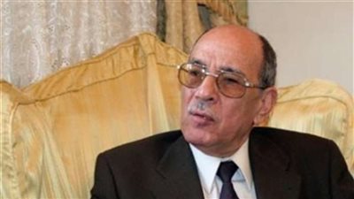 «خبير سياسي»: الإمكانيات المادية أقوى من الخبرة وتؤهل لزعامة الحزب