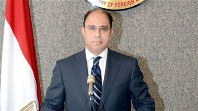 الخارجية تكشف حقيقة إرسال قوات مصرية إلى سوريا