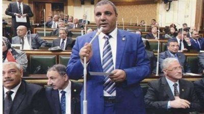 «نائب»: فتح «الإجازات» للعاملين بالحكومة للعمل بالخارج فى مصلحة مصر
