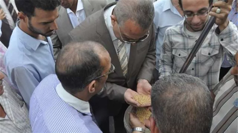 محافظ الجيزة يتفقد صوامع تخزين القمح