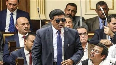 برلماني: 'مفيش مانع نحدد النسل.. لكن الأزمة في ساقطي القيد'