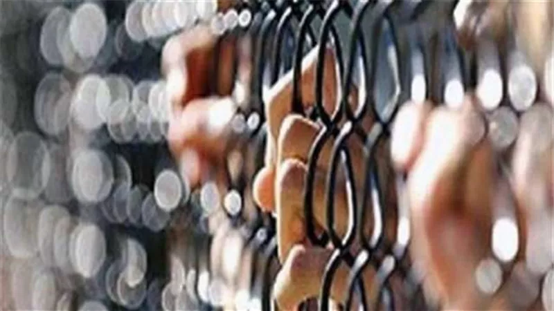 حبس 6 أشخاص 5 سنوات لاستيلائهما على 500 ألف جنيه من البنك الأهلي
