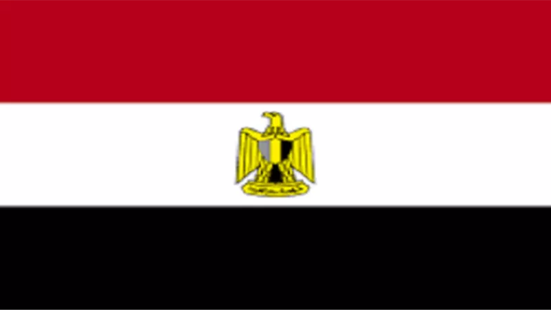«مصر» ترحب بنتائج القمة الأمريكية الكورية الشمالية