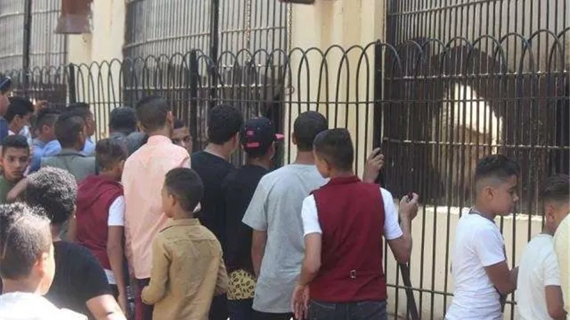 توافد المواطنين على حديقة الحيوان بأول أيام عيد الفطر