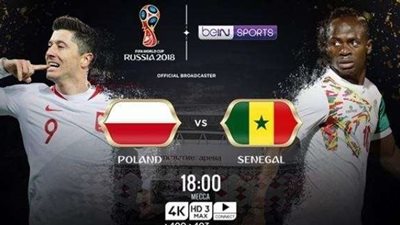بث مباشر.. مباراة السنغال وبولندا بكأس العالم