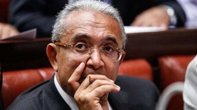 «خطة النواب»: مصر ستكون النمر الأفريقي الأول في 10 سنوات