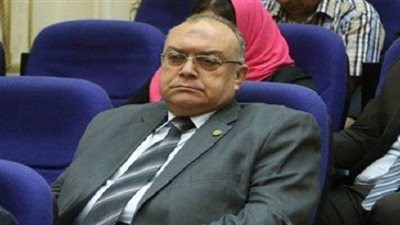 برلماني: جذب الاستثمار سبب كافي لإنشاء منطقة صناعية إفريقية