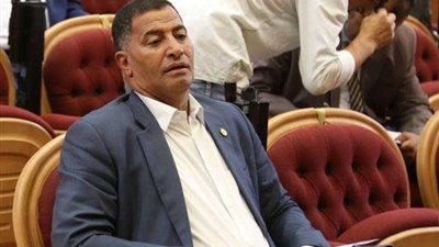 برلماني: نظام التعليم الجديد سيُنمي مهارات الطلاب العقلية