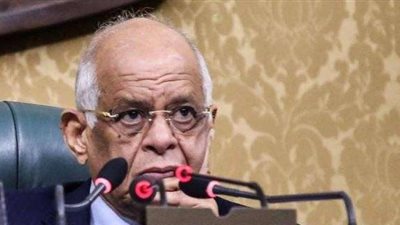 عبد العال لـ«النواب»: من حق الإعلام أن يهاجمكم