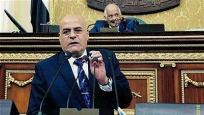 «برلماني»: المدارس اليابانية نقلة جديدة في تطوير التعليم المصري