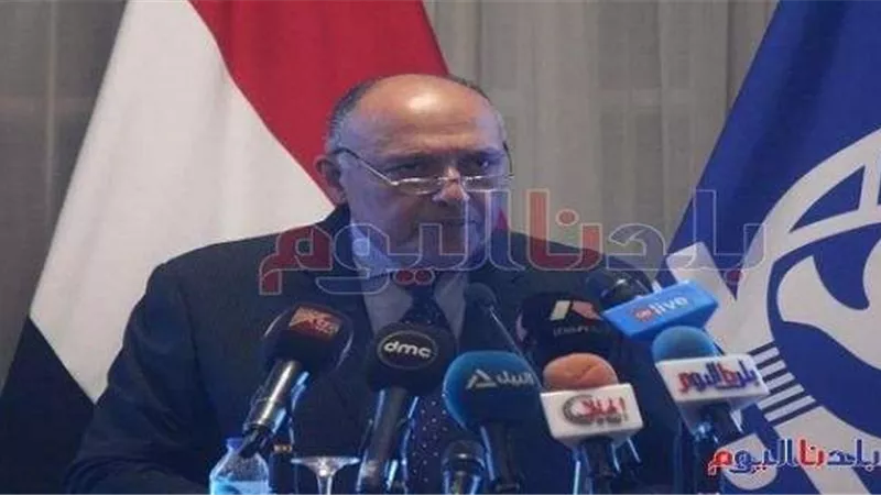 وزارة الخارجية تحتفل بيوم «حفظ السلام» بالتعاون مع الأمم المتحدة (صور)