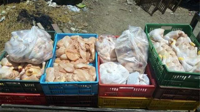 مباحث القاهرة تضبط مسؤل مجزر دواجن فاسدة بحلوان (صور)