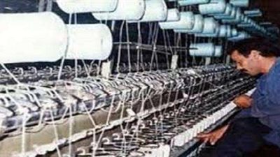 شركات القطاع العام تدفع ضريبة الإهمال.. ونواب: ثروة قومية لا بد من استغلالها