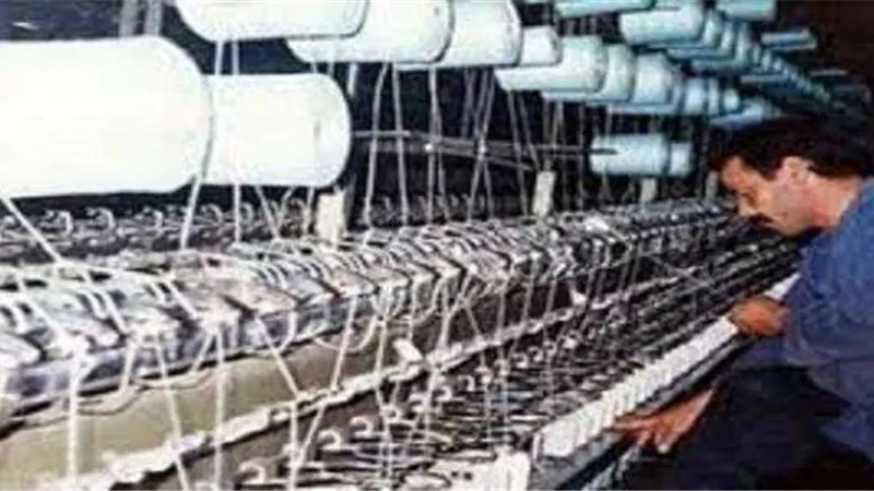 شركات القطاع العام تدفع ضريبة الإهمال.. ونواب: ثروة قومية لا بد من استغلالها