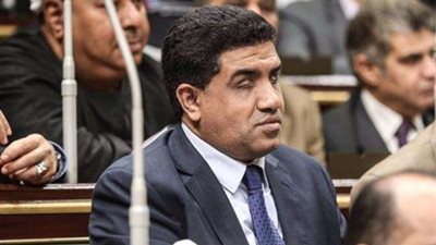 خالد حنفي: هناك معايير دستورية لابد من مراعاتها في تعديلات قانون مجلس النواب