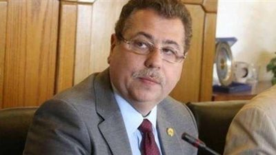 برلماني: آليات برنامج «مدبولي» غير واضحة المعالم