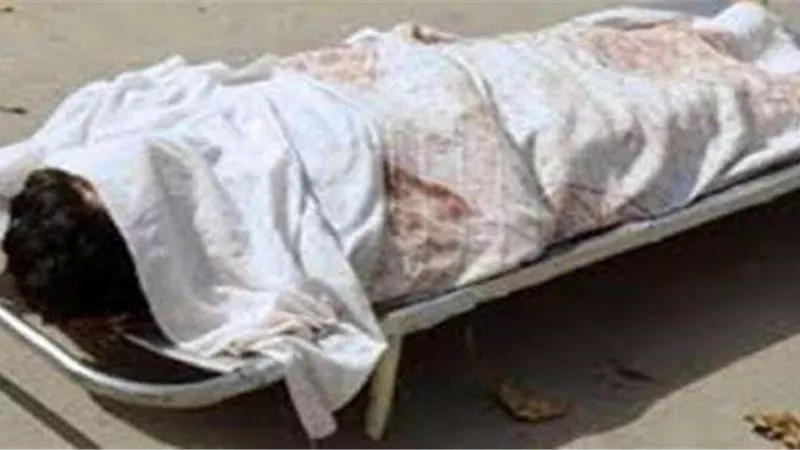 مصرع عامل في حادث تصادم بالمنوفية