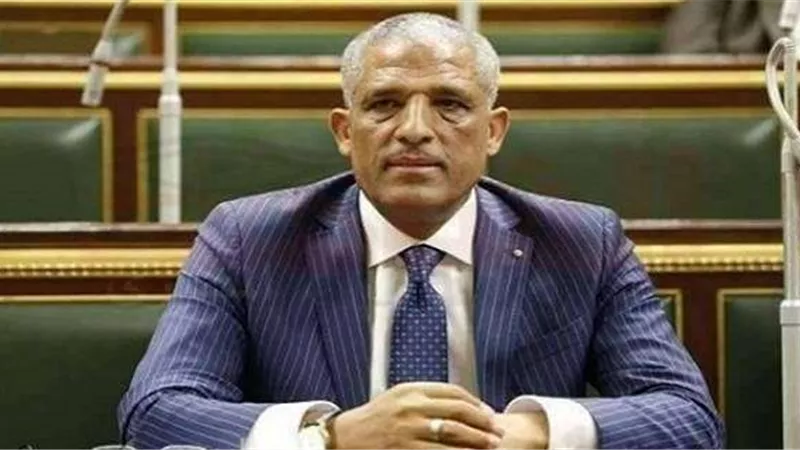 وكيل «محلية البرلمان»: «تكافل وكرامة» لا يصل لمستحقيه